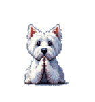 無言でウェストハイランドホワイトテリア（個別スタンプ：14）