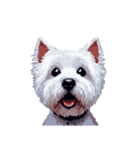 無言でウェストハイランドホワイトテリア（個別スタンプ：16）
