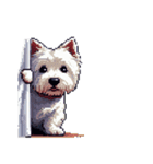 無言でウェストハイランドホワイトテリア（個別スタンプ：18）