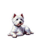 無言でウェストハイランドホワイトテリア（個別スタンプ：19）