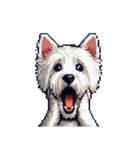 無言でウェストハイランドホワイトテリア（個別スタンプ：22）