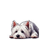 無言でウェストハイランドホワイトテリア（個別スタンプ：23）