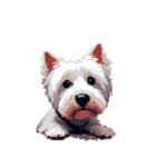 無言でウェストハイランドホワイトテリア（個別スタンプ：24）