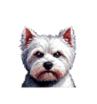 無言でウェストハイランドホワイトテリア（個別スタンプ：25）