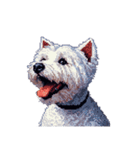 無言でウェストハイランドホワイトテリア（個別スタンプ：27）