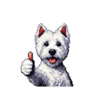 無言でウェストハイランドホワイトテリア（個別スタンプ：28）