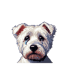 無言でウェストハイランドホワイトテリア（個別スタンプ：30）