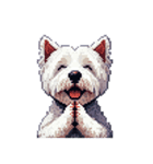 無言でウェストハイランドホワイトテリア（個別スタンプ：33）