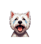 無言でウェストハイランドホワイトテリア（個別スタンプ：34）