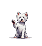 無言でウェストハイランドホワイトテリア（個別スタンプ：36）