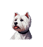 無言でウェストハイランドホワイトテリア（個別スタンプ：38）