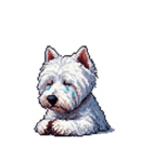 無言でウェストハイランドホワイトテリア（個別スタンプ：40）