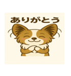 ララのテーマ3 – 癒しの気持ちスタンプ（個別スタンプ：1）