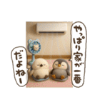 ゆるふわシマエナガとペンギンの夏（個別スタンプ：7）