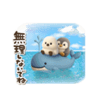 ゆるふわシマエナガとペンギンの夏（個別スタンプ：30）