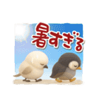 ゆるふわシマエナガとペンギンの夏（個別スタンプ：35）