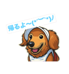 ダックス ライちゃん スタンプ（個別スタンプ：13）