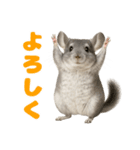チンチラが伝えるMOFUな日常（個別スタンプ：3）