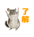 チンチラが伝えるMOFUな日常（個別スタンプ：7）