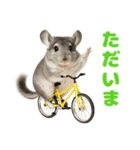 チンチラが伝えるMOFUな日常（個別スタンプ：9）
