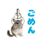 チンチラが伝えるMOFUな日常（個別スタンプ：14）