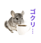 チンチラが伝えるMOFUな日常（個別スタンプ：18）