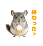 チンチラが伝えるMOFUな日常（個別スタンプ：22）