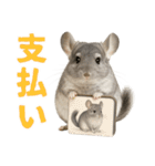 チンチラが伝えるMOFUな日常（個別スタンプ：24）