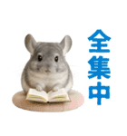 チンチラが伝えるMOFUな日常（個別スタンプ：26）