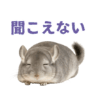 チンチラが伝えるMOFUな日常（個別スタンプ：32）