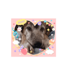 リアル！やさしいチョコじぃさん（個別スタンプ：5）