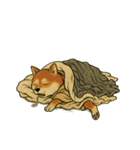 犬和尚（個別スタンプ：17）