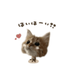 なびちゃん♡deformation（個別スタンプ：3）