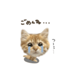 なびちゃん♡deformation（個別スタンプ：6）
