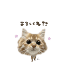 なびちゃん♡deformation（個別スタンプ：8）
