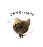 なびちゃん♡deformation（個別スタンプ：10）