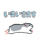 やや丁寧なおはむたち（個別スタンプ：13）
