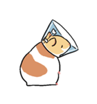 やや丁寧なおはむたち（個別スタンプ：40）