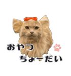 PARK72ネコCAFE 公式スタンプ（個別スタンプ：8）