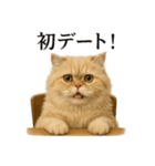 【婚活】恋するペルシャの本音スタンプ（個別スタンプ：5）