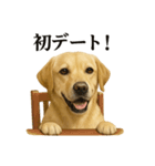 恋するラブラドールレトリバーの本音（個別スタンプ：5）