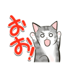 中高年ねこ でか文字版（個別スタンプ：10）