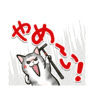 中高年ねこ でか文字版（個別スタンプ：11）