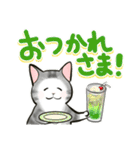中高年ねこ でか文字版（個別スタンプ：14）