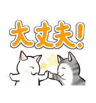 中高年ねこ でか文字版（個別スタンプ：18）