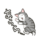 中高年ねこ でか文字版（個別スタンプ：19）
