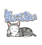 中高年ねこ でか文字版（個別スタンプ：20）