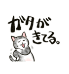 中高年ねこ でか文字版（個別スタンプ：24）