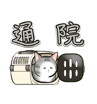 中高年ねこ でか文字版（個別スタンプ：31）