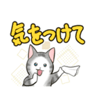 中高年ねこ でか文字版（個別スタンプ：34）